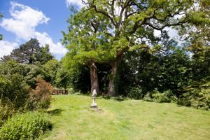 Garden- click for photo gallery
